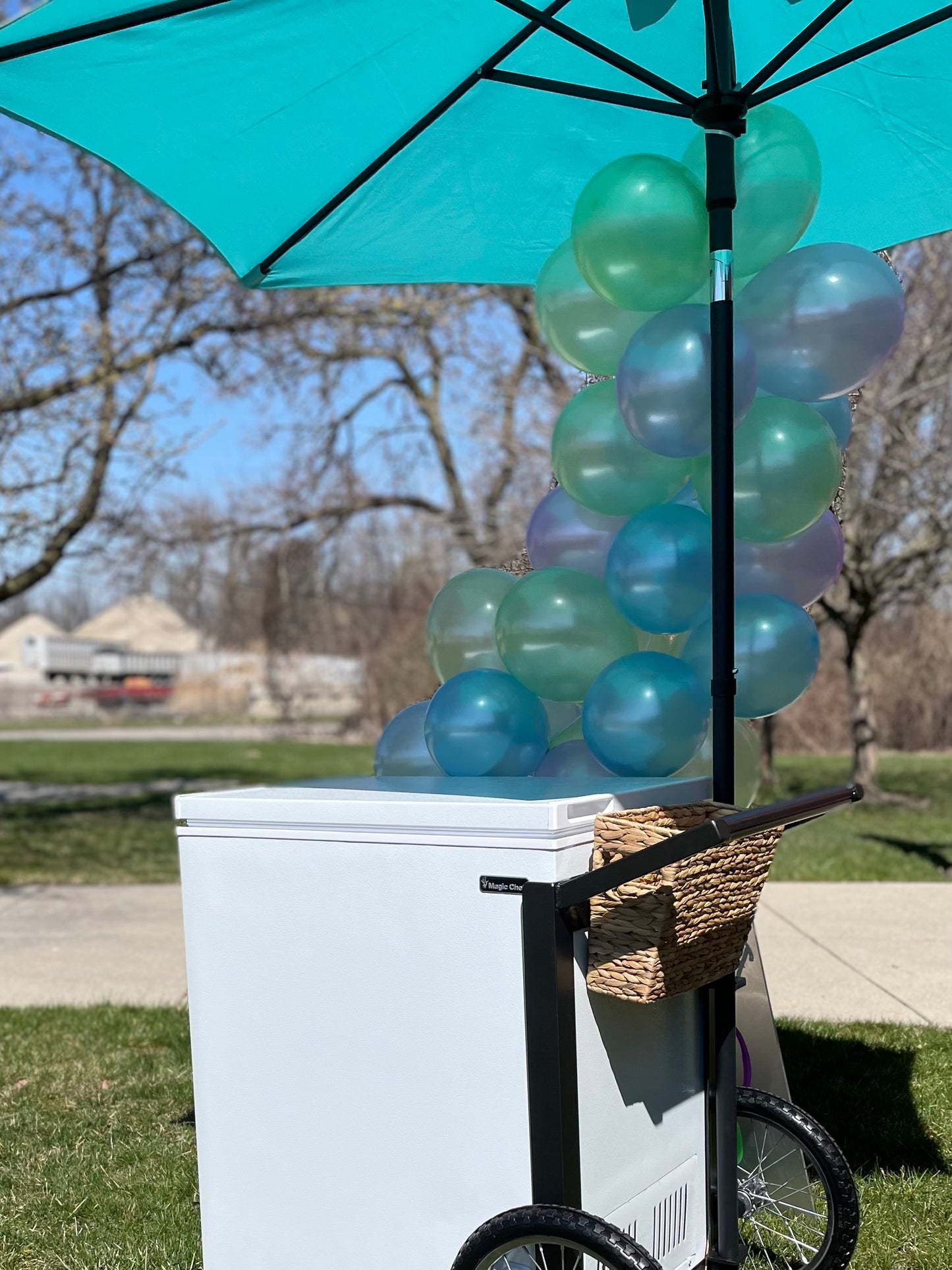 Reserve Our Ice Cream Cart - Toledo Mobile Bar Rental