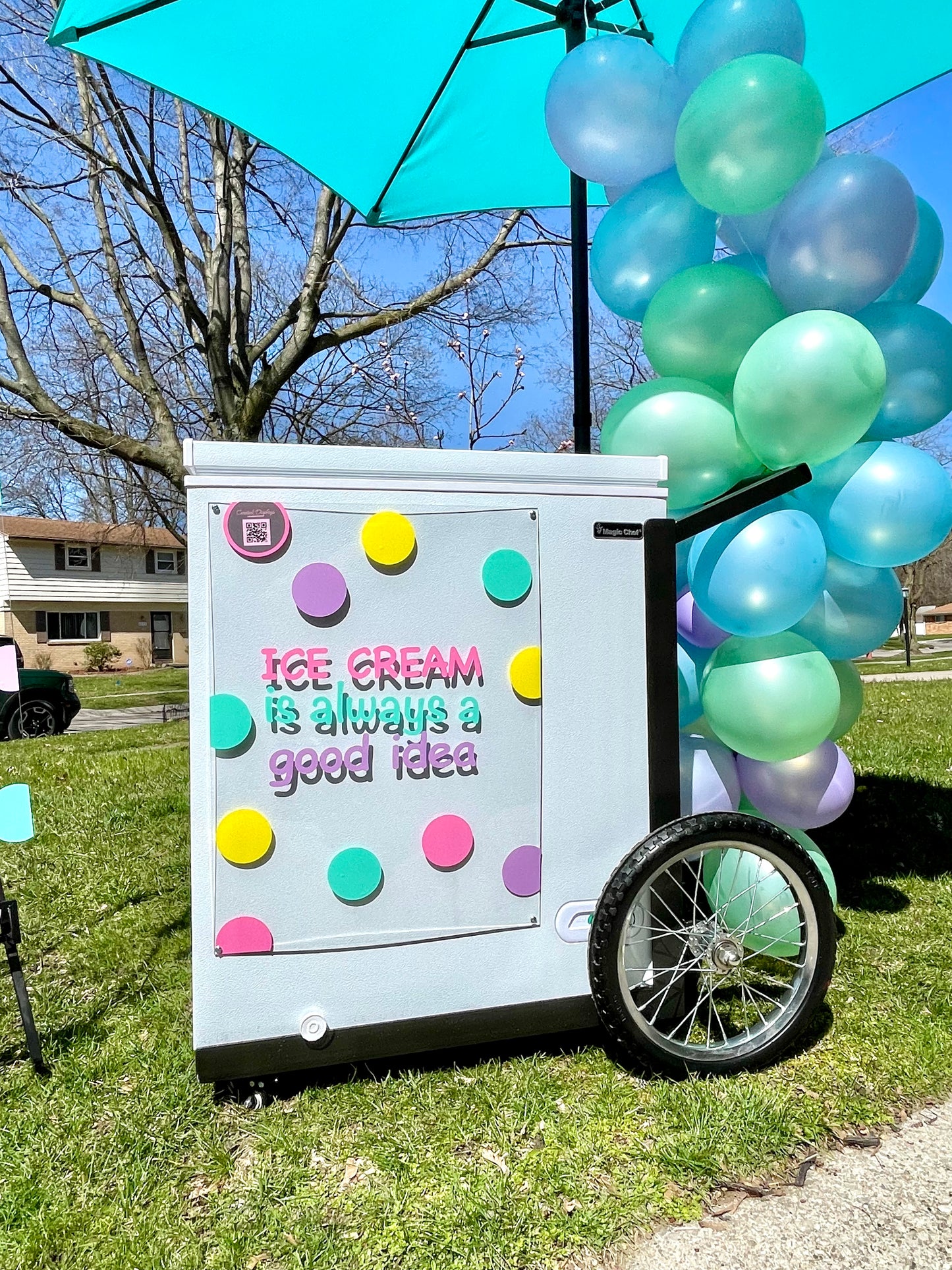 Reserve Our Ice Cream Cart  - Toledo Mobile Bar Rental