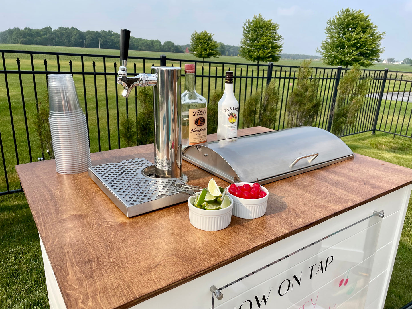 Reserve Sophia Our Single Tap Tricycle - Toledo Mobile Bar Rental